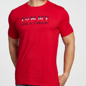 CAMISETA TOMMY HILFIGER